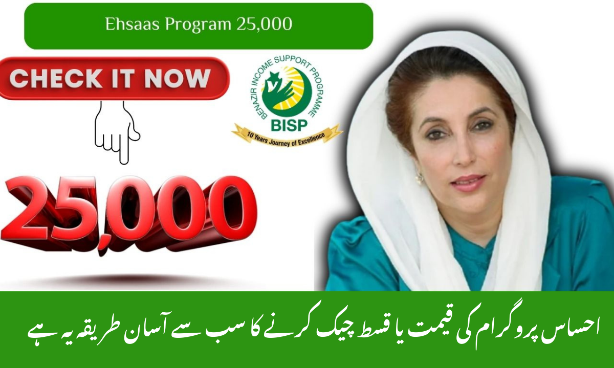 Ehsaas Program 25,000 CNIC Check 2025 — How to Verify CNIC, Eligibility & Payment Details