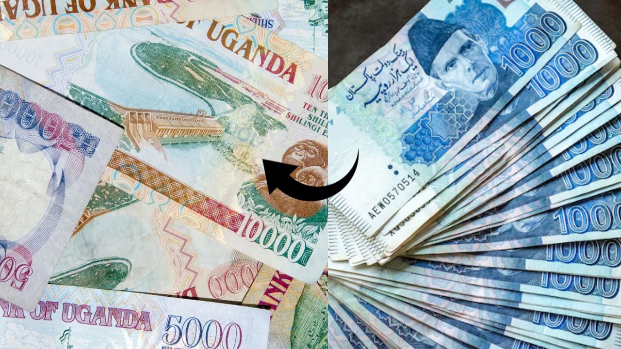 Uganda Shilling to PKR