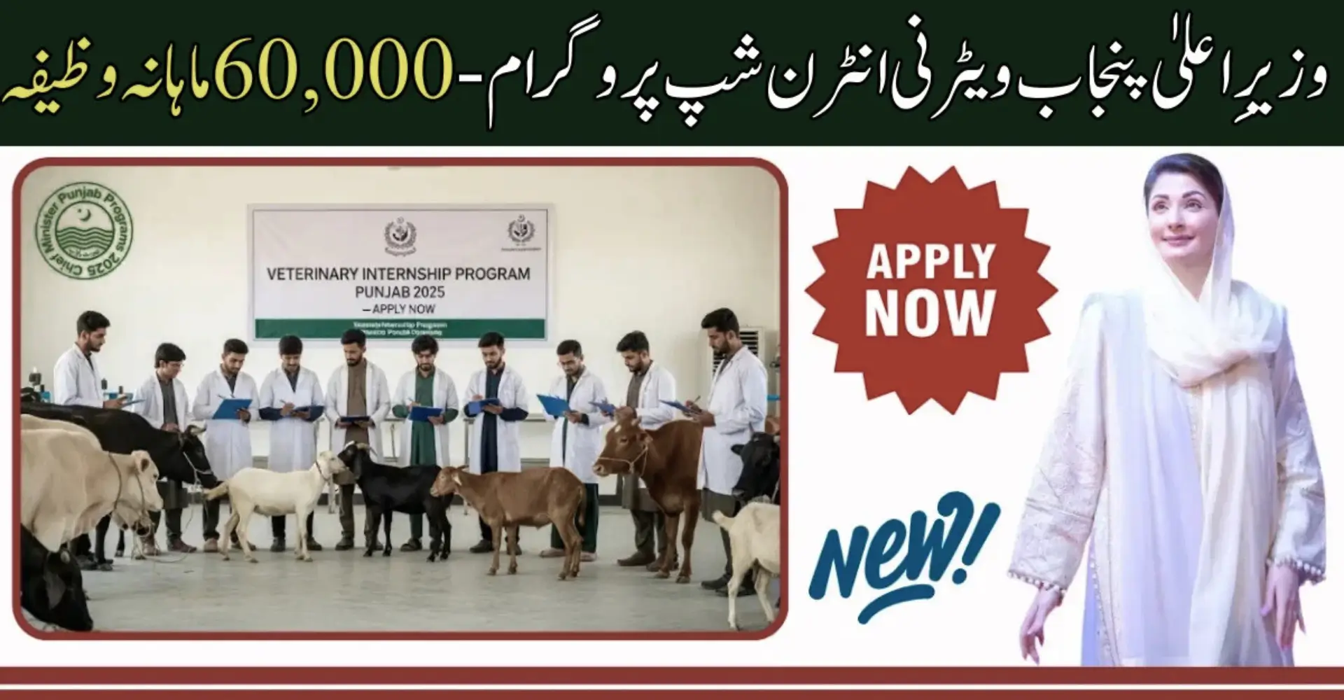 Veterinary & Para-Vet Internship