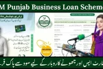 CM Punjab Business Loan Scheme