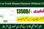 How to Track Ehsaas Payment Without CNIC (Instant 2025 Method)